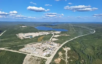 11294.webp