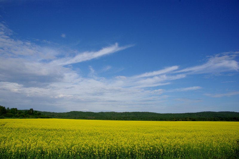 62b690a7831a8be2725addbc625ba1af72b5d3181021da1bf9e1ffb9d636ae41.JPG
