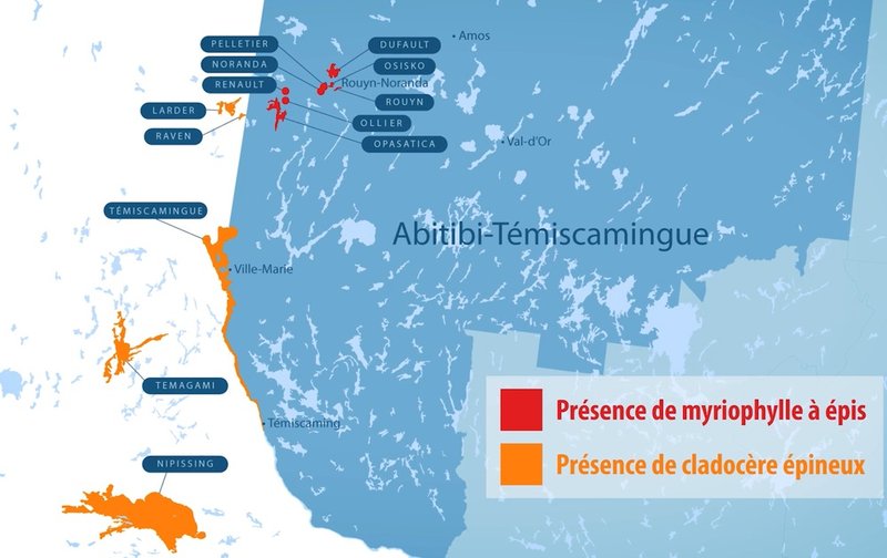 DB-Esp. exo envahi. Photo 2022 - Copie