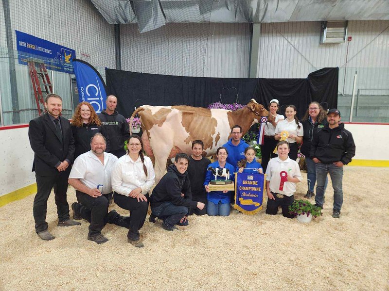 Grande championne Ferme Bérichel et Fils 2007 de Guigues