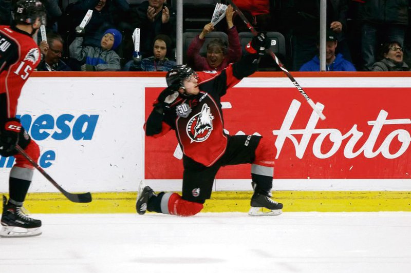 Huskies_CP-Louvik Archambault_web.jpg