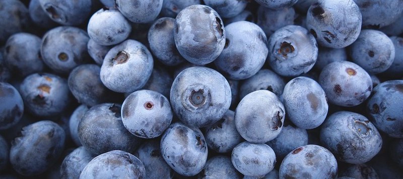blueberries 1_web.jpg
