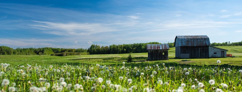 credit photo christian leduc photographe.jpg