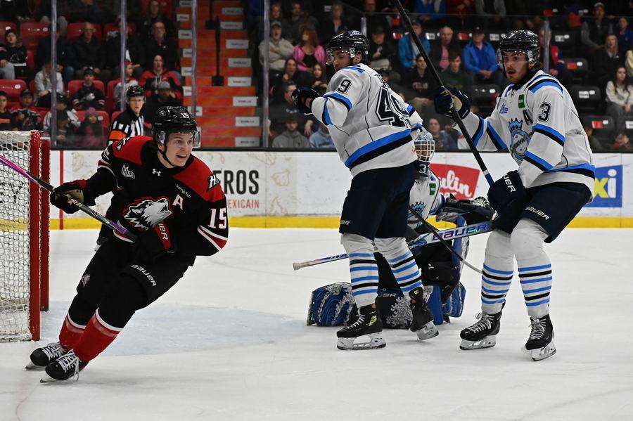 site Huskies, crédit Jean Lapointe